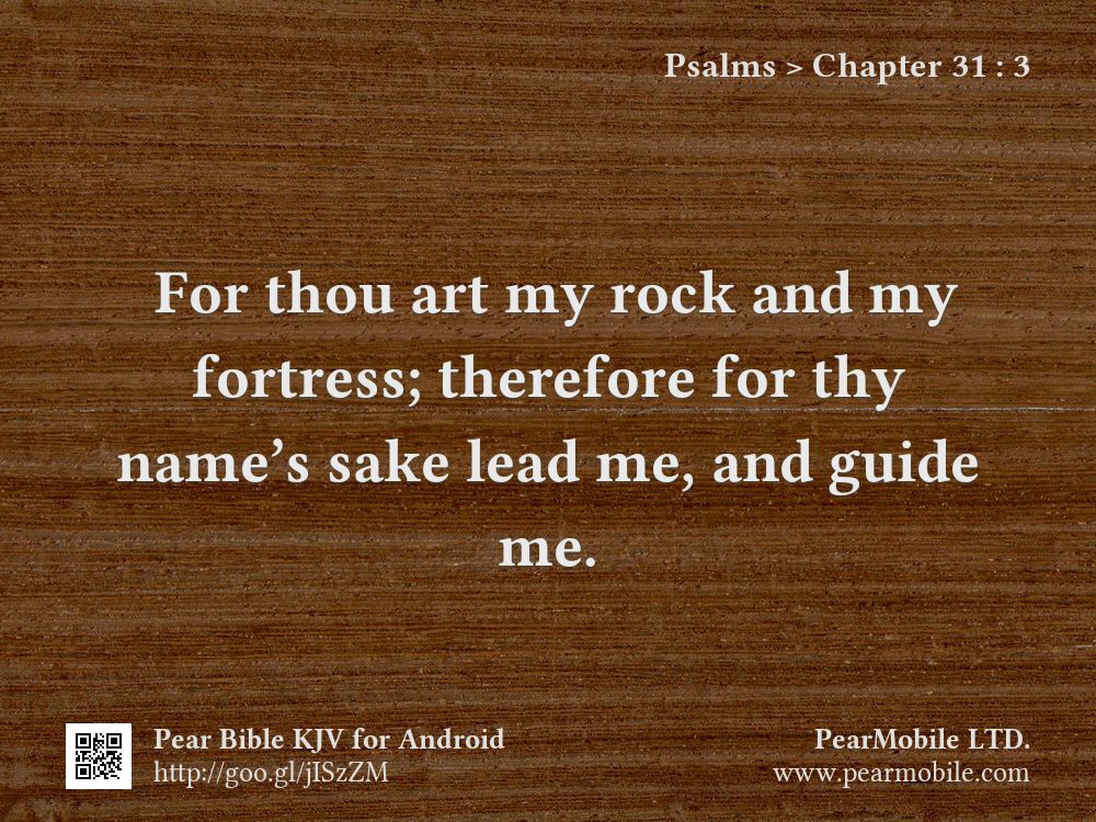 Psalms, Chapter 31:3